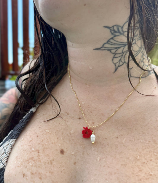 Amapola